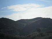 P2060008.JPG