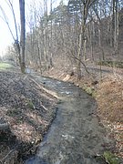 P2060014.JPG