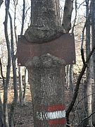 P2060015.JPG