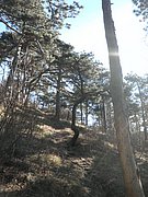 P2060021.JPG