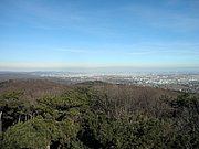 P2060023.JPG