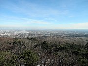 P2060024.JPG