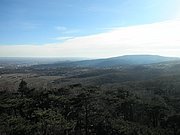 P2060025.JPG