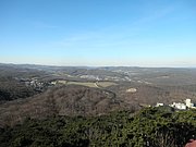 P2060029.JPG
