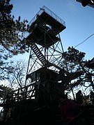 P2060034.JPG