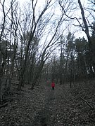 P2060050.JPG