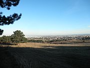 P2060053.JPG