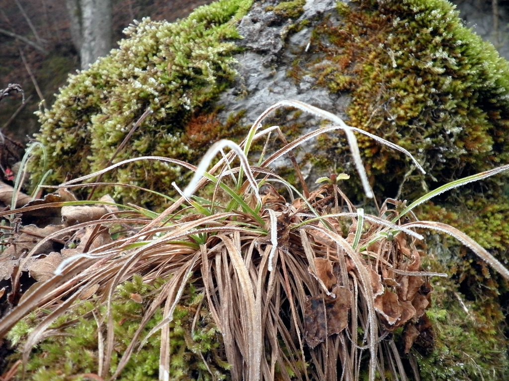 PC060107.JPG