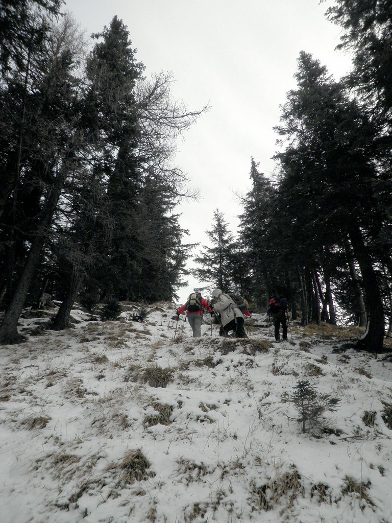 PC060125.JPG