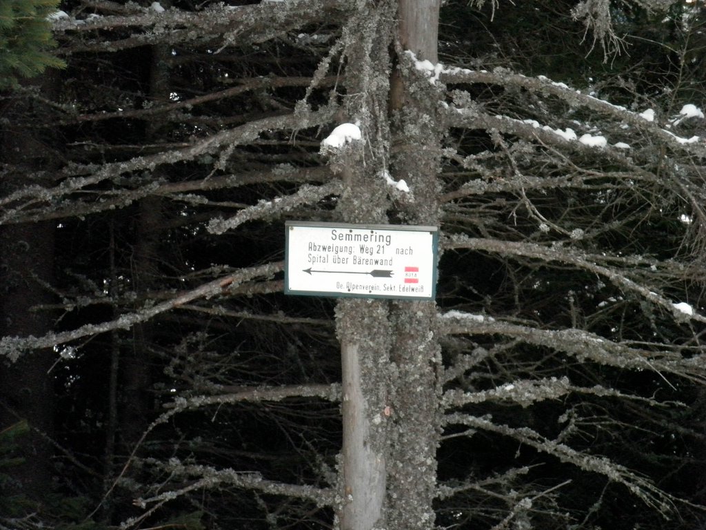 PC060127.JPG