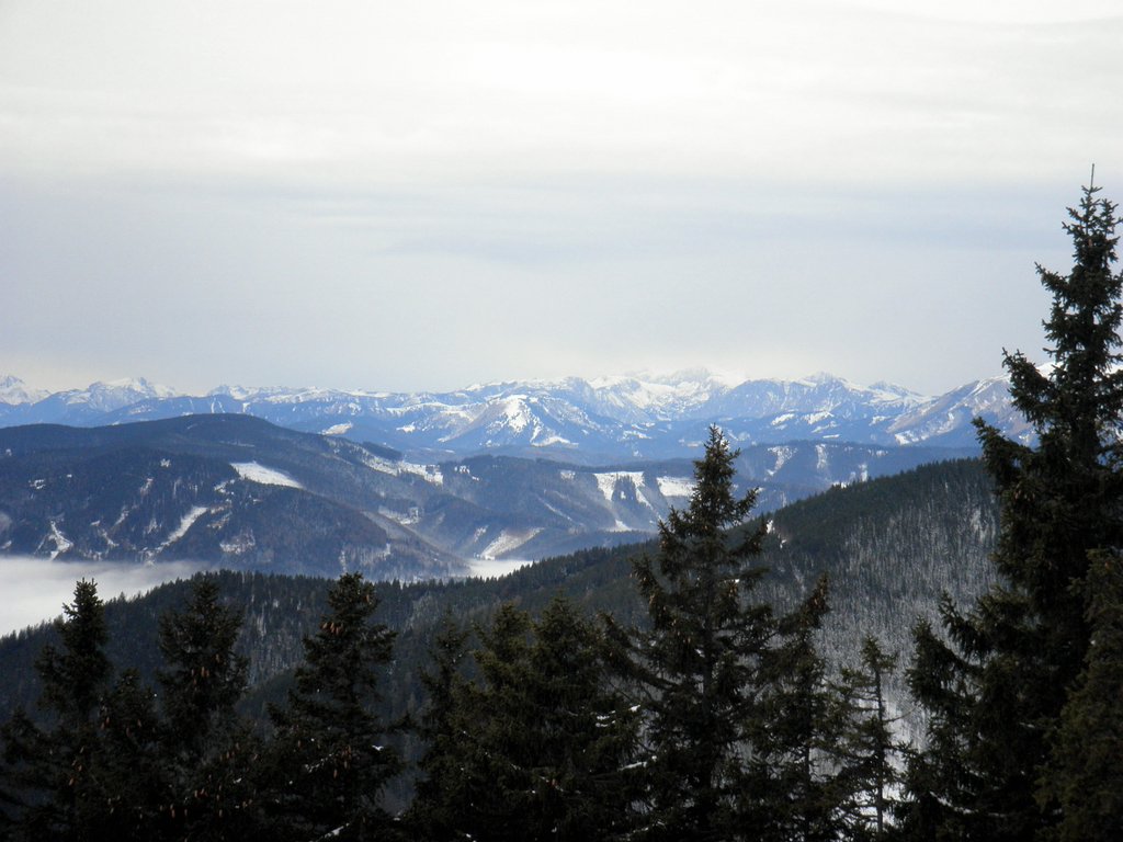 PC060130.JPG