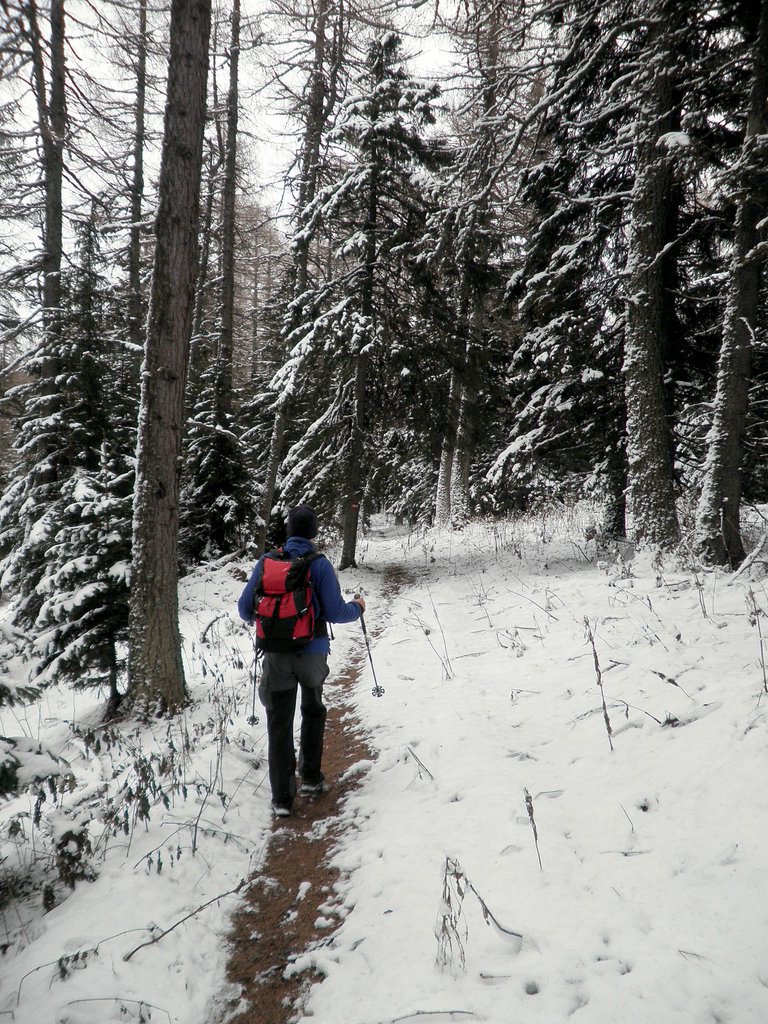 PC060144.JPG