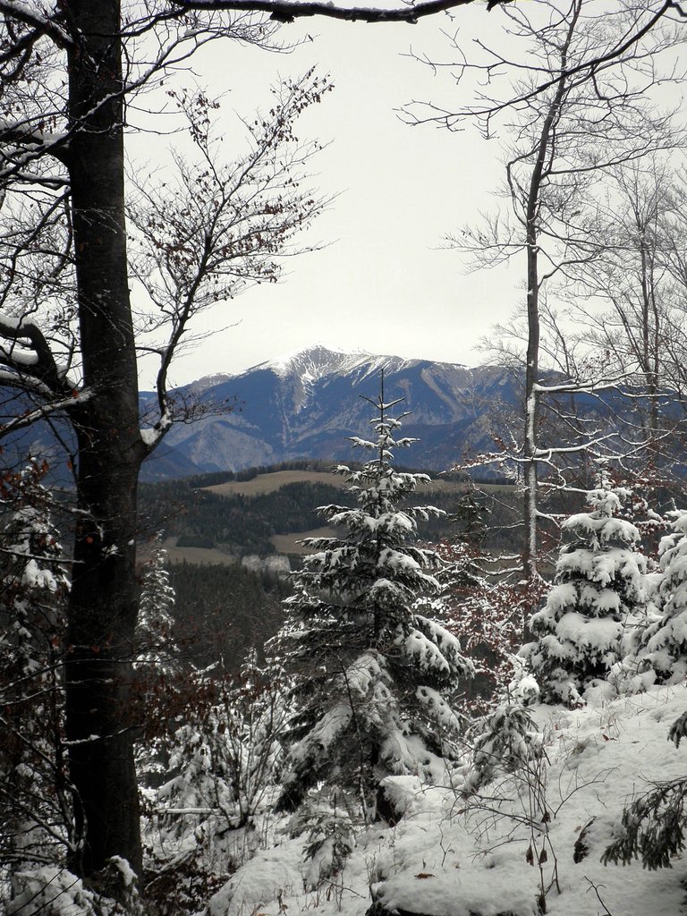 PC060155.JPG