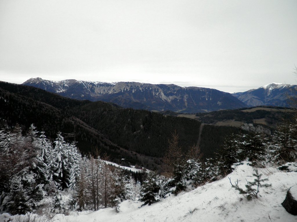 PC060158.JPG