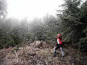 PC060100.JPG