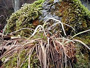PC060107.JPG