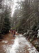 PC060111.JPG