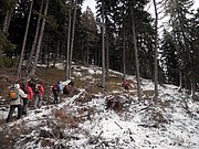 PC060123.JPG