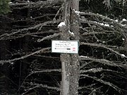 PC060127.JPG