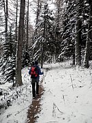 PC060144.JPG