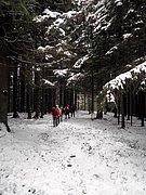 PC060148.JPG