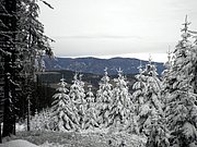 PC060150.JPG