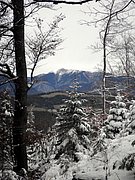 PC060155.JPG