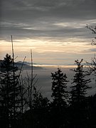 PC060169.JPG