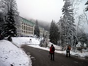 PC060175.JPG
