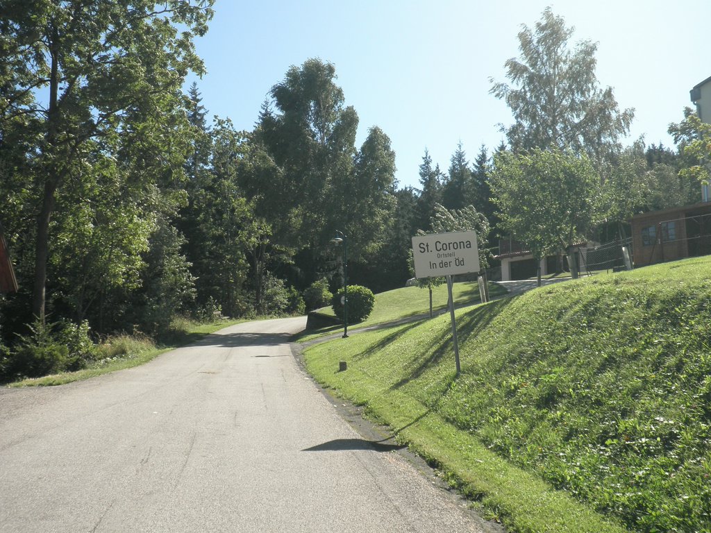 P9050007.JPG