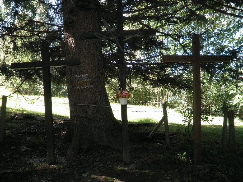 P9050010.JPG