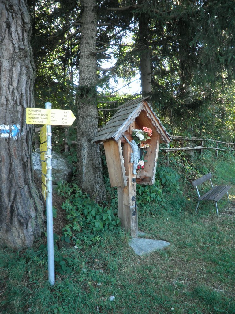 P9050013.JPG
