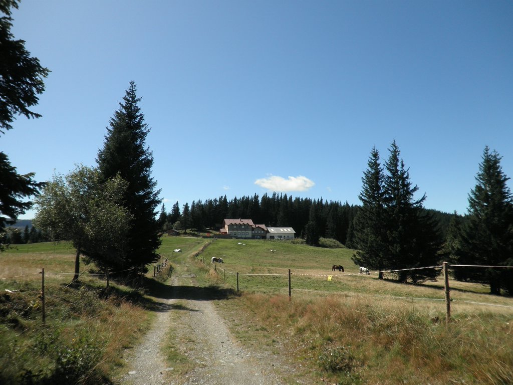 P9050019.JPG