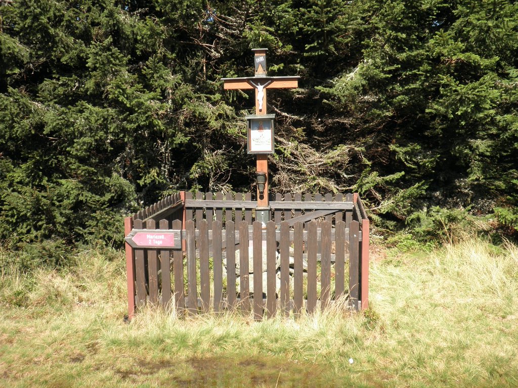 P9050021.JPG