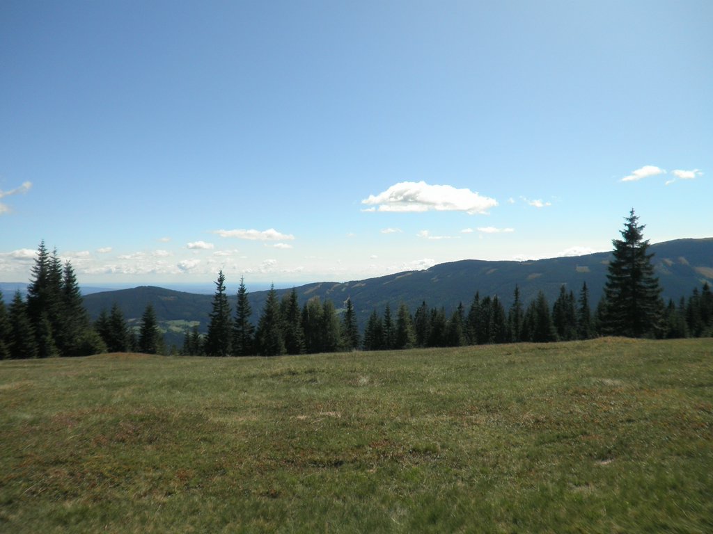 P9050024.JPG