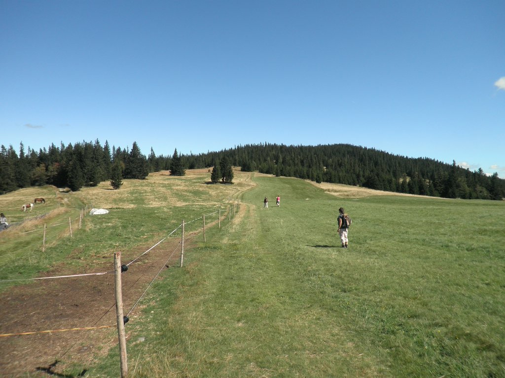 P9050027.JPG