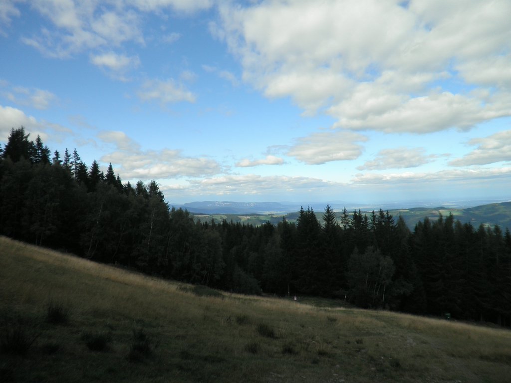 P9050047.JPG