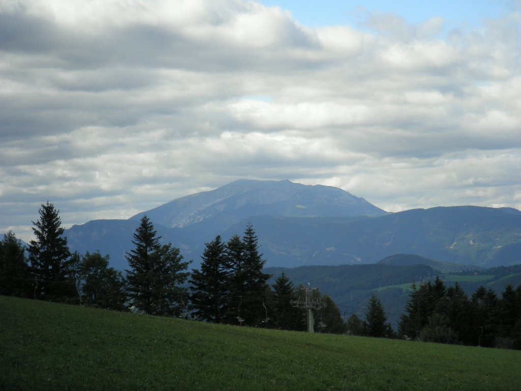 P9050055.JPG