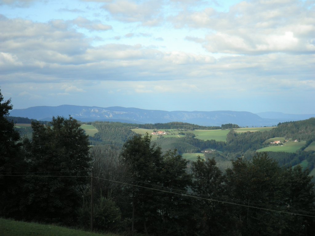 P9050057.JPG