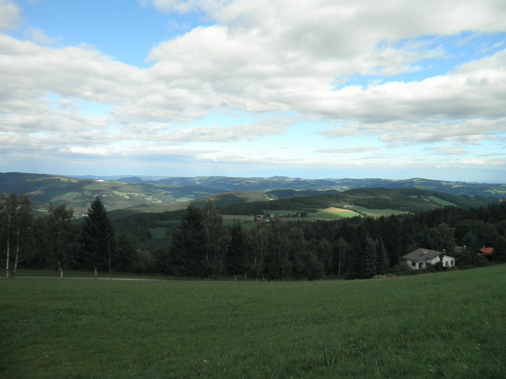 P9050058.JPG