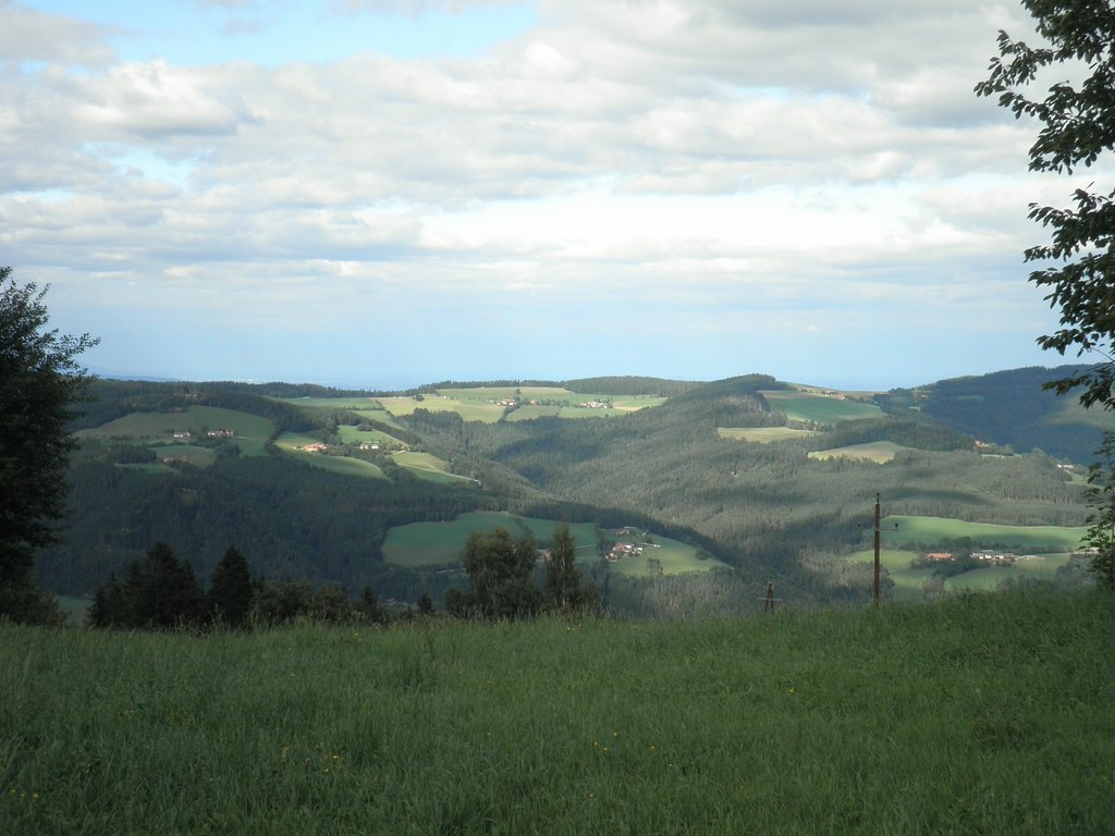 P9050059.JPG