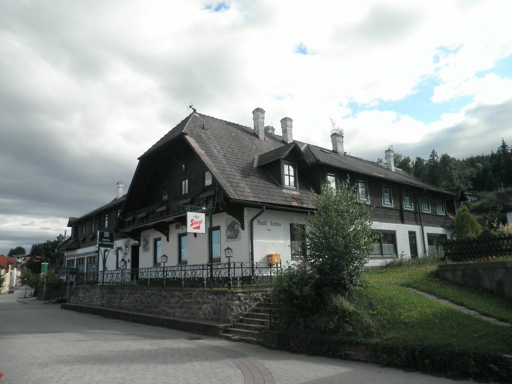 P9050066.JPG