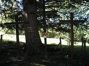 P9050010.JPG