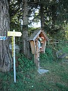 P9050013.JPG