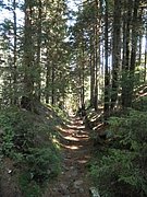 P9050014.JPG