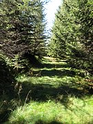 P9050017.JPG