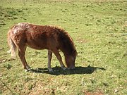 P9050020.JPG