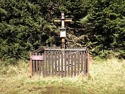 P9050021.JPG