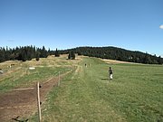 P9050027.JPG
