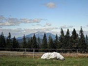 P9050028.JPG